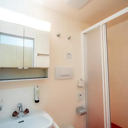 Haus Schonstatt Brig